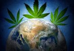 countries cannabis research