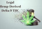 Legal hemp-derived Delta 9 THC gummies)