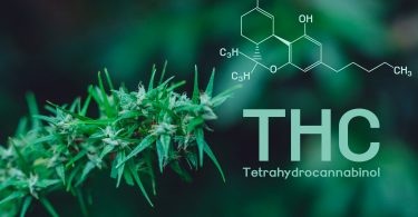 hemp-derived THC
