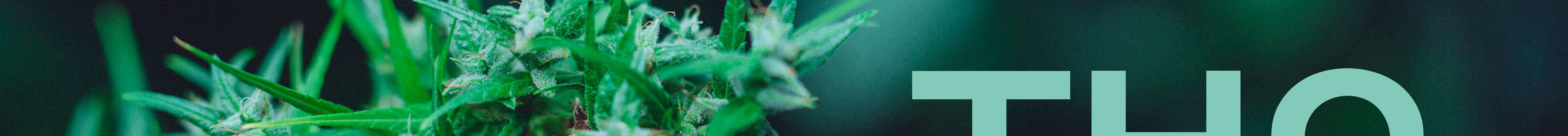 hemp-derived THC