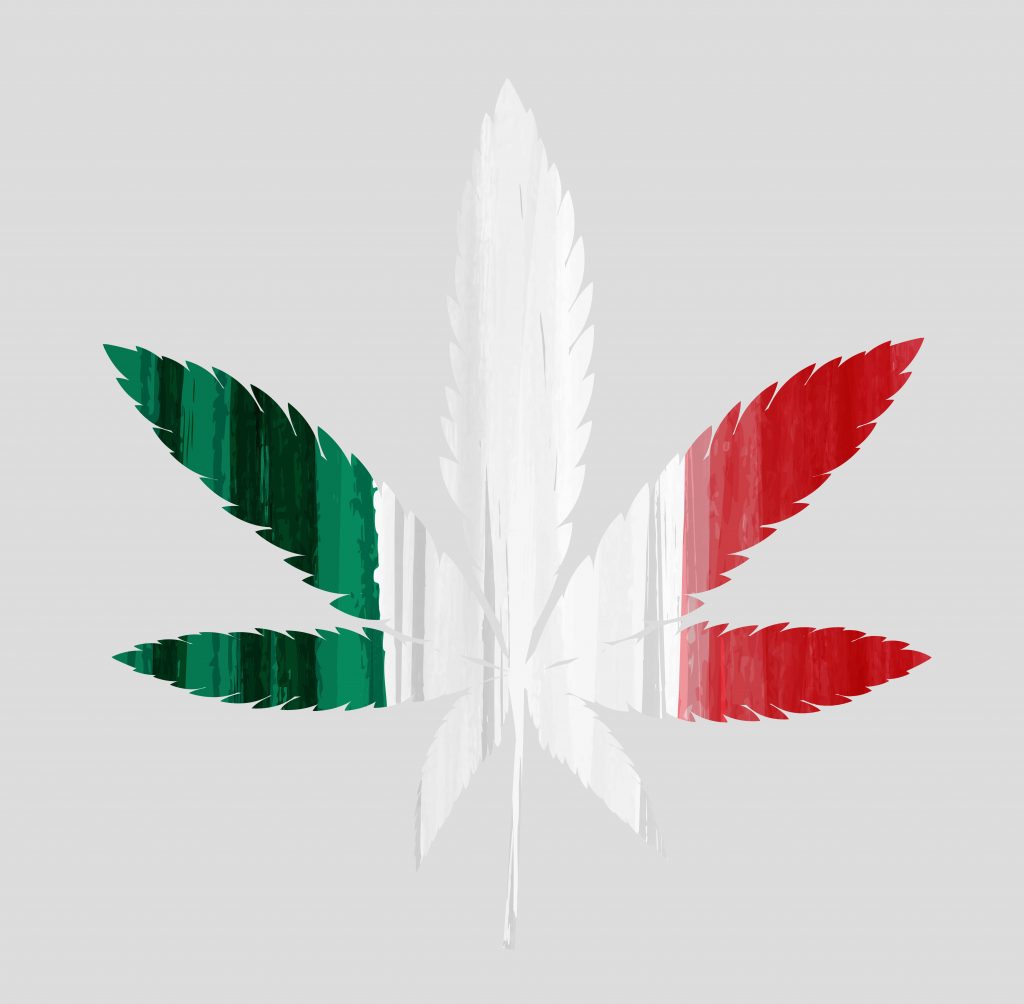 mexico cannabis legalization