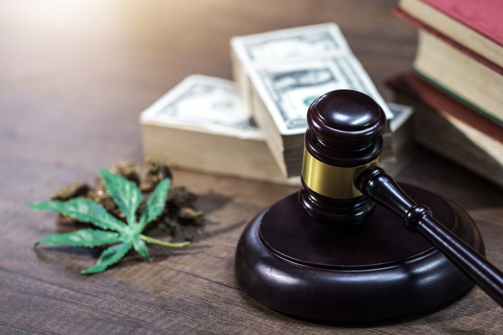 cannabis court