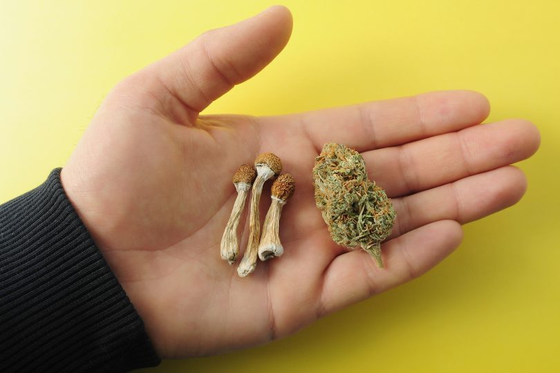 DEA wants marijuana psilocybin