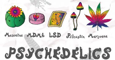 Michigan legalize recreational psychedelics