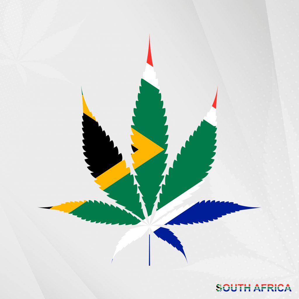 South Africa marijuana