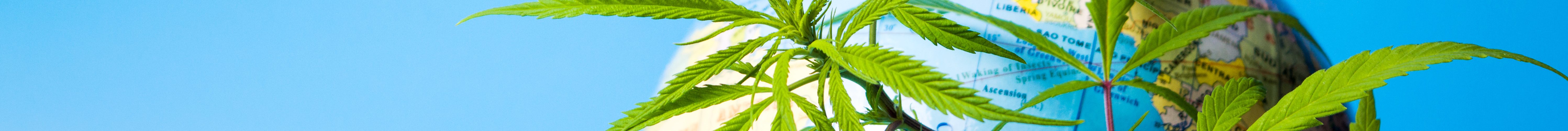 Uruguay cannabis tourism industry