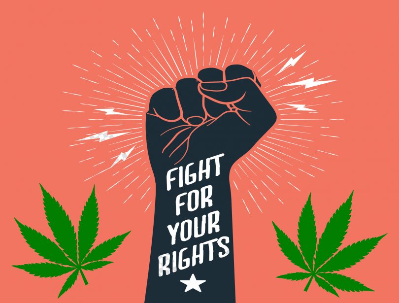 cannabis activism