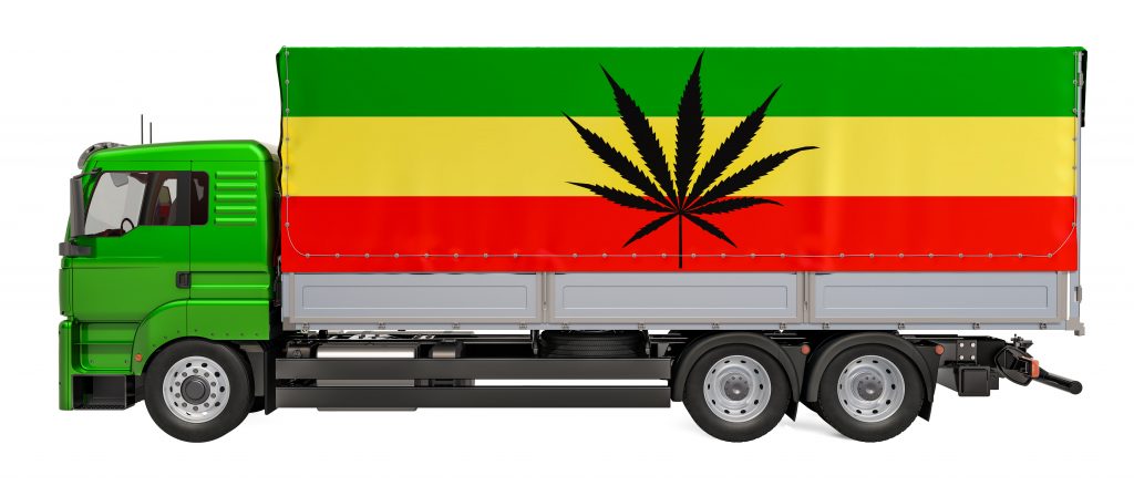 cannabis exports