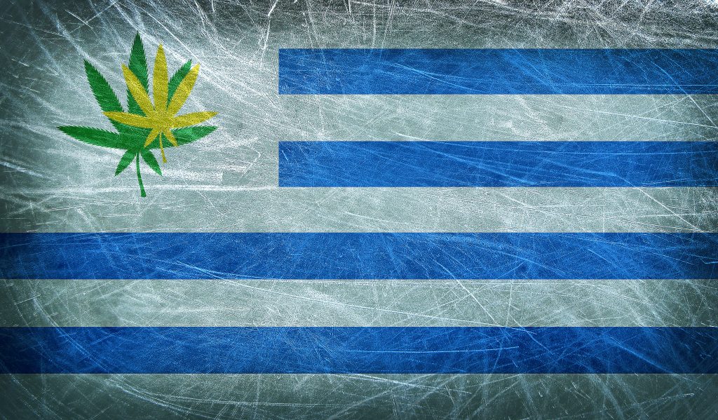cannabis in Uruguay