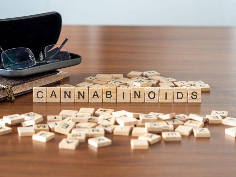 cannabis cannabinoids future