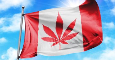 Canada Destroyed Over 3 Million Pounds of Unsold Cannabis Since 2018