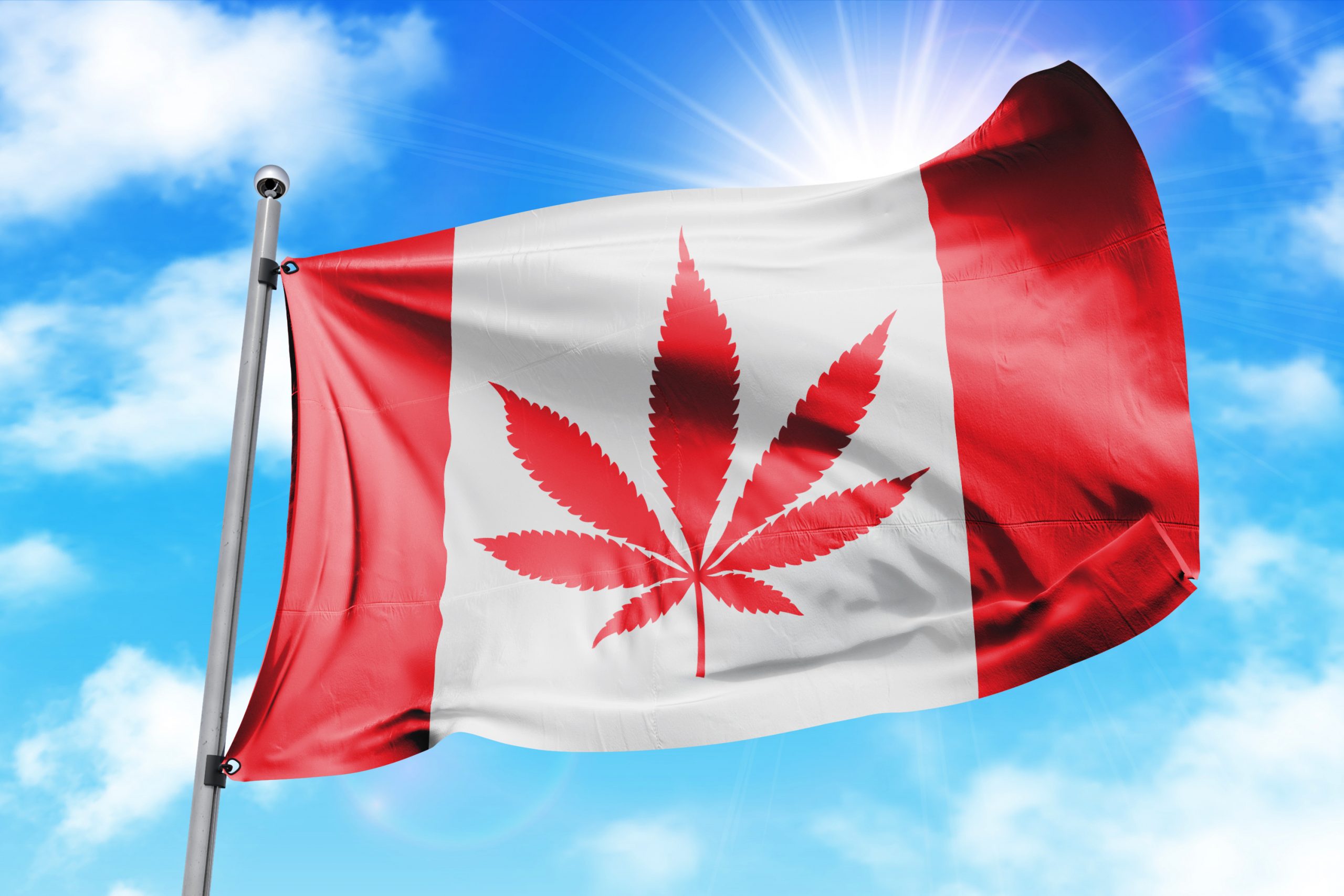 Canada Destroyed Over 3 Million Pounds of Cannabis Since 2018