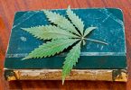 cannabis old testament