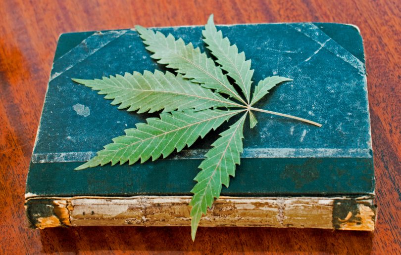 cannabis old testament