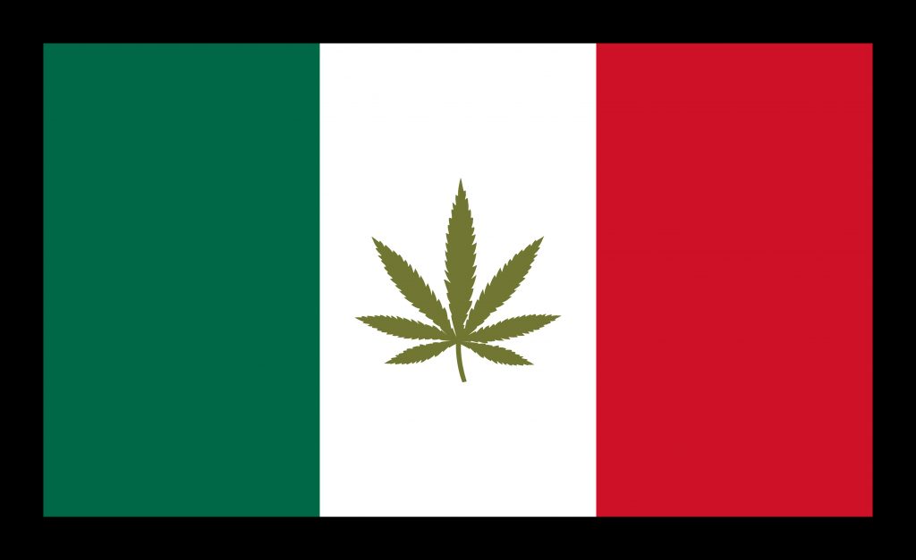 Mexican commercial cannabis market