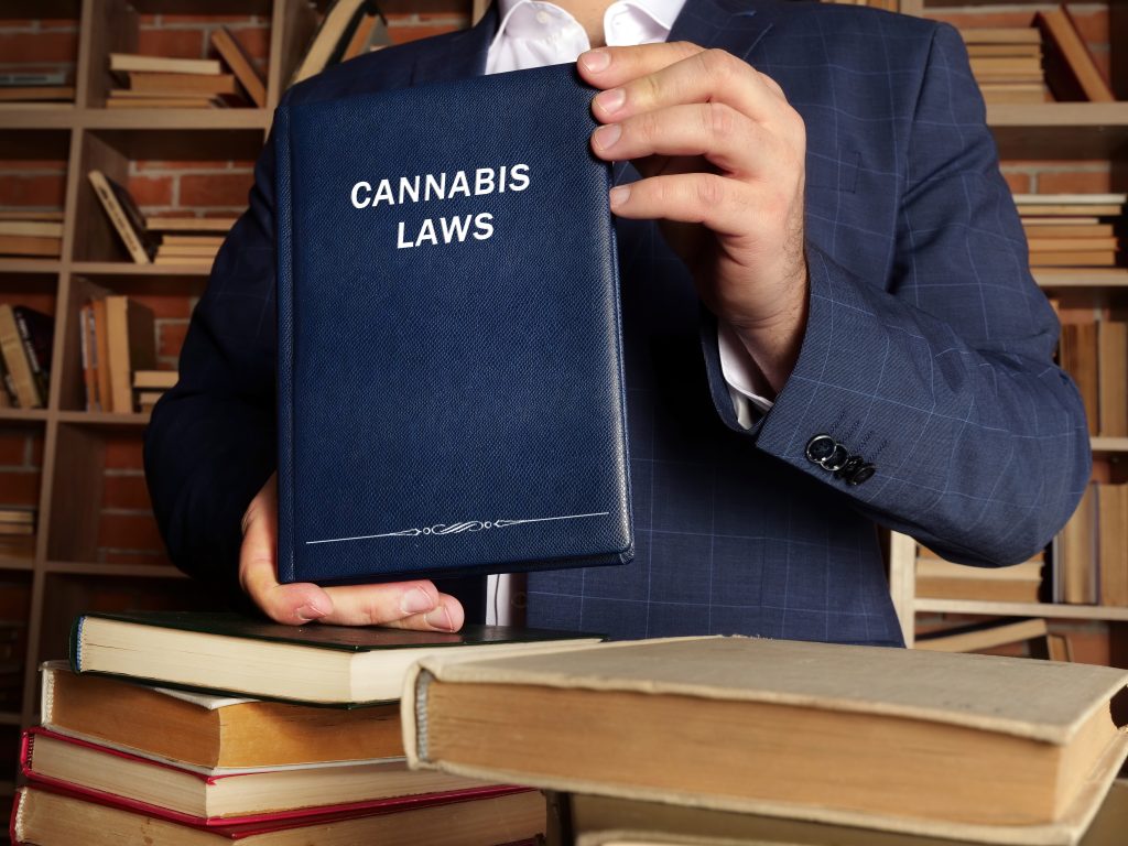 cannabis laws CBD