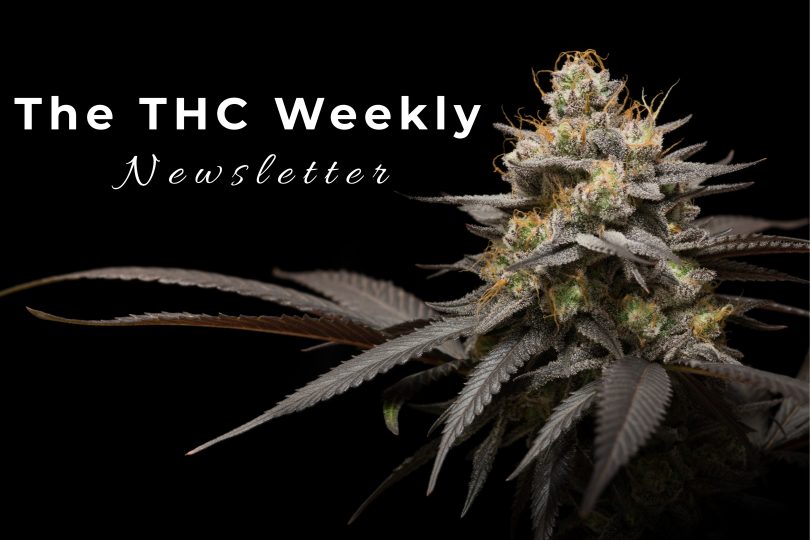 The THC Weekly Newsletter