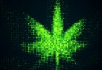 cannabis crypto