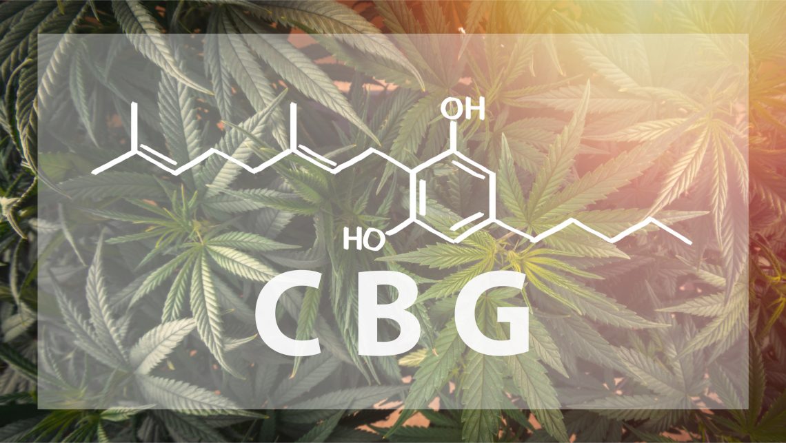 Best CBG Deals – Oils, Gummies & More