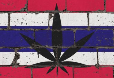 Cannabis in Thailand