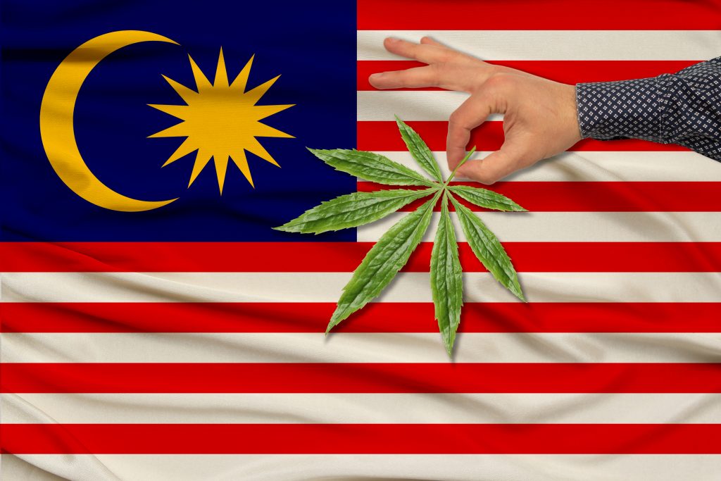 Malaysia legal medical cannabis