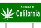 california cannabis