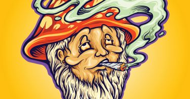 smoke magic mushrooms