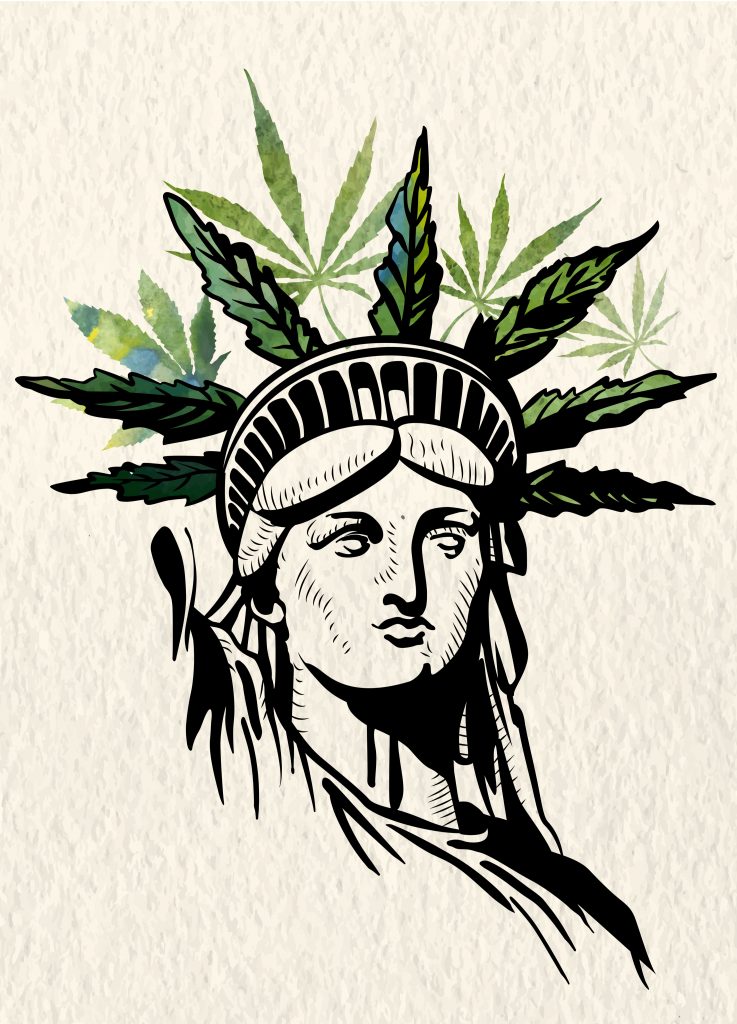 cannabis NY