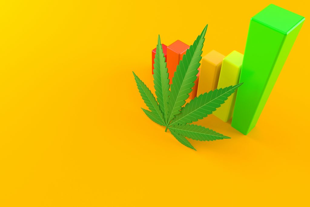 cannabis statistics