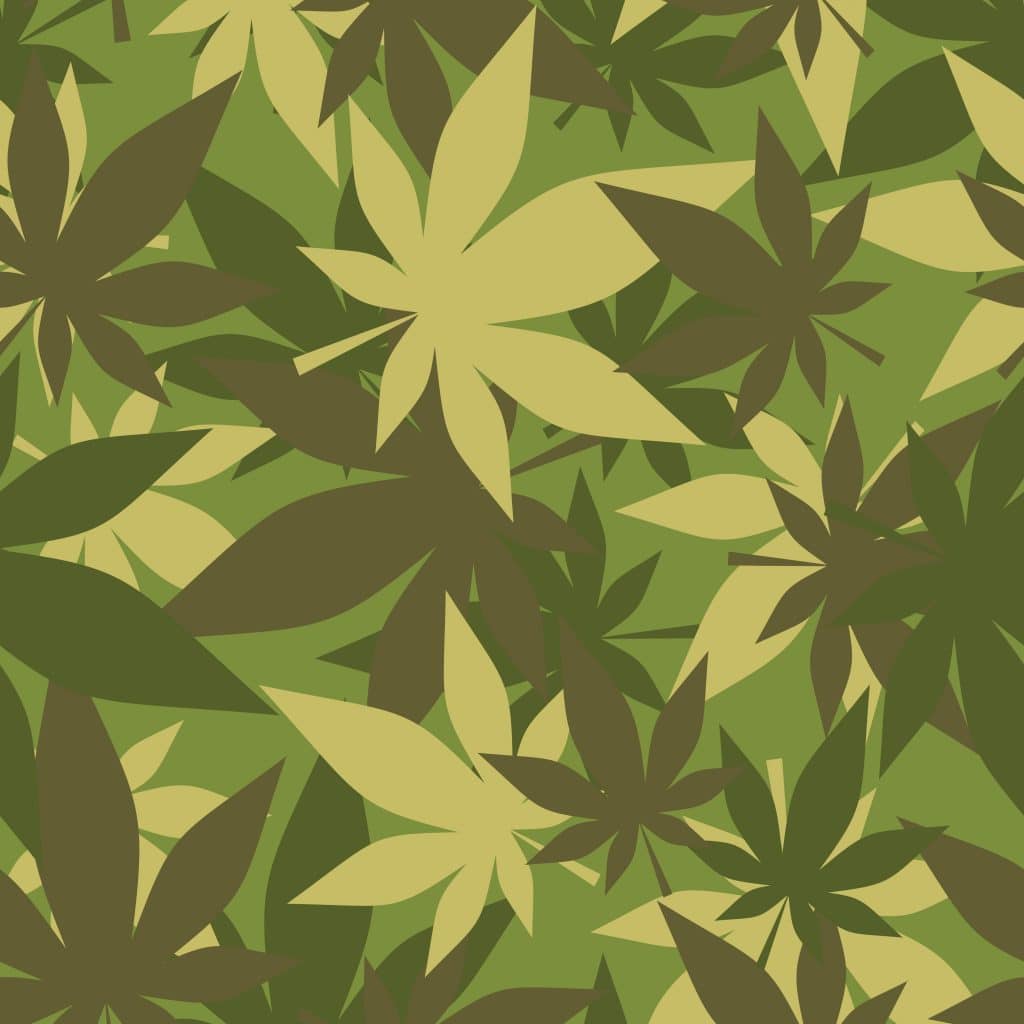 cannabis in military
