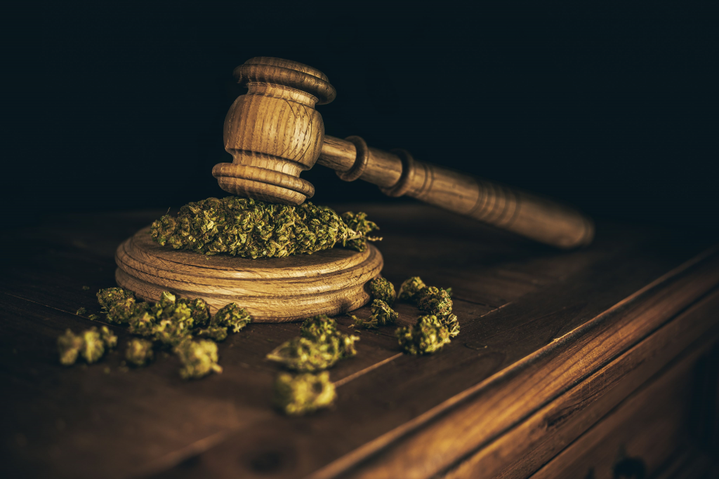 cannabis law
