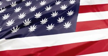 memorial day cannabis