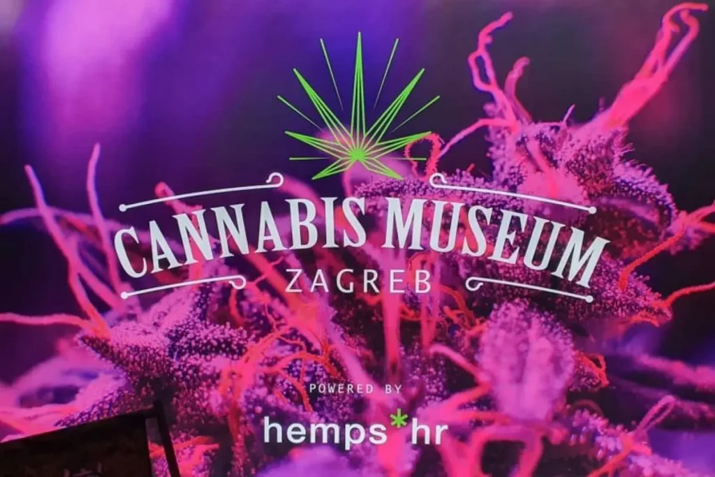 weed museum