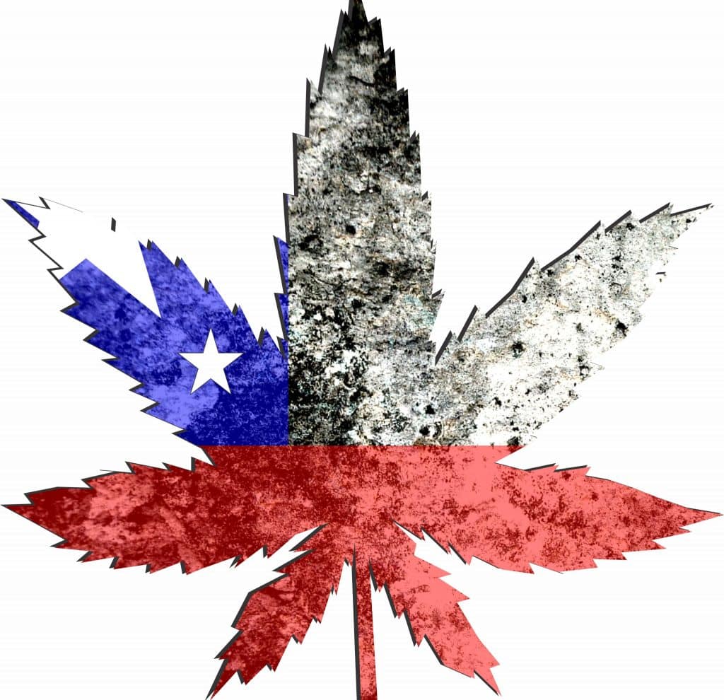 Chile and cannabis law