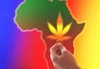 South Africa cannabis bill