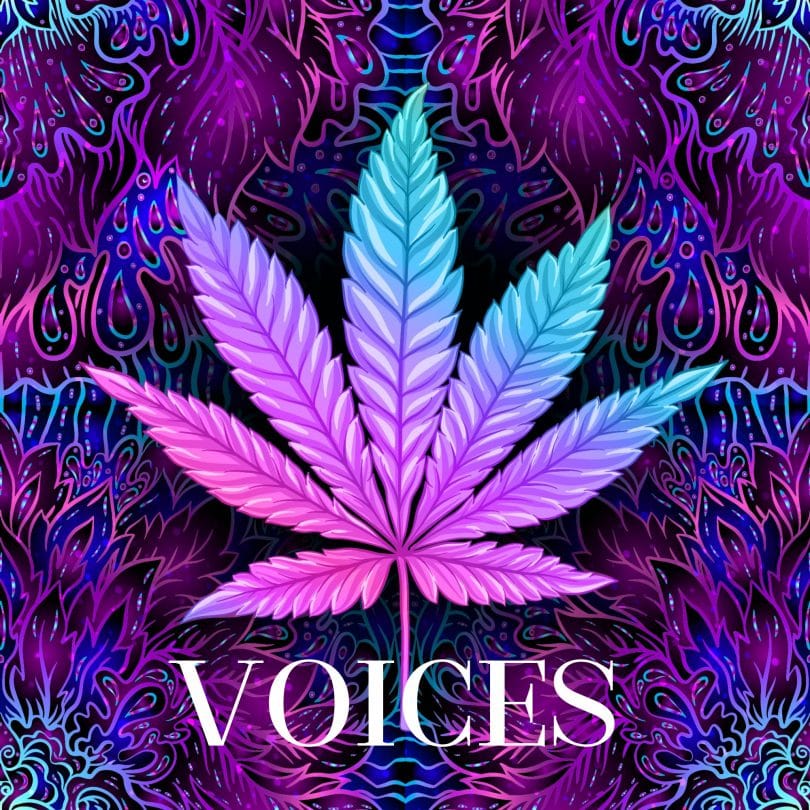 Voices