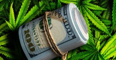 California cannabis taxes