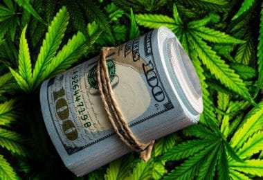 California cannabis taxes