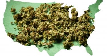 Chuck Schumer cannabis