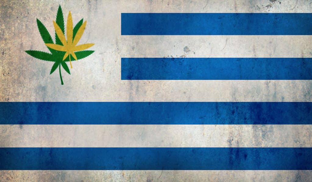 Uruguay cannabis use