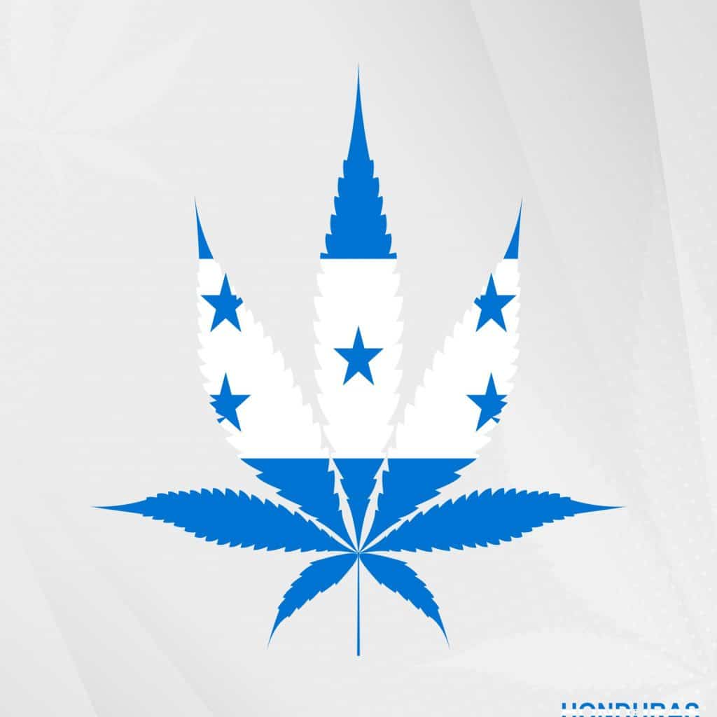 cannabis Honduras