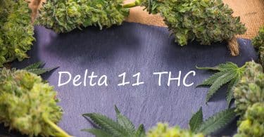 Delta 11 THC
