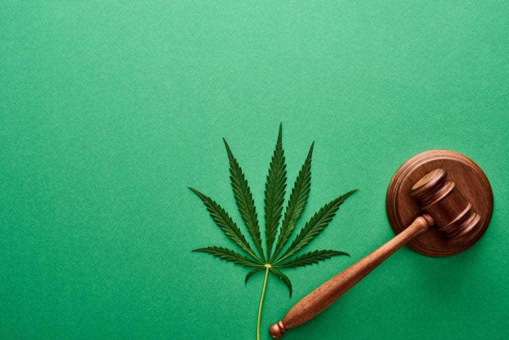Italy cannabis laws