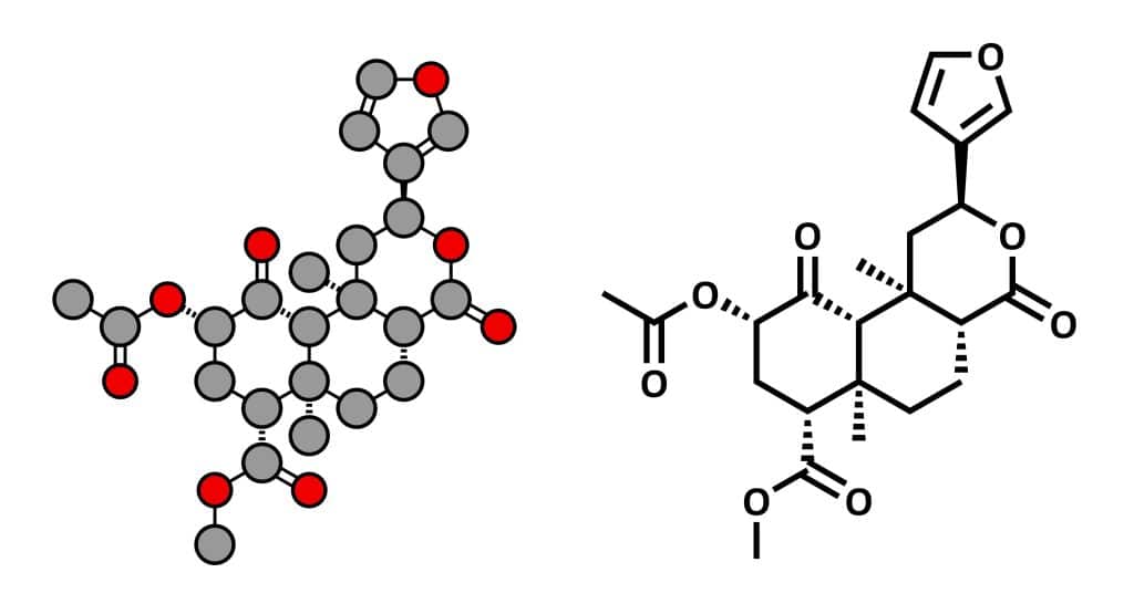 Salvia divinorum chemistry