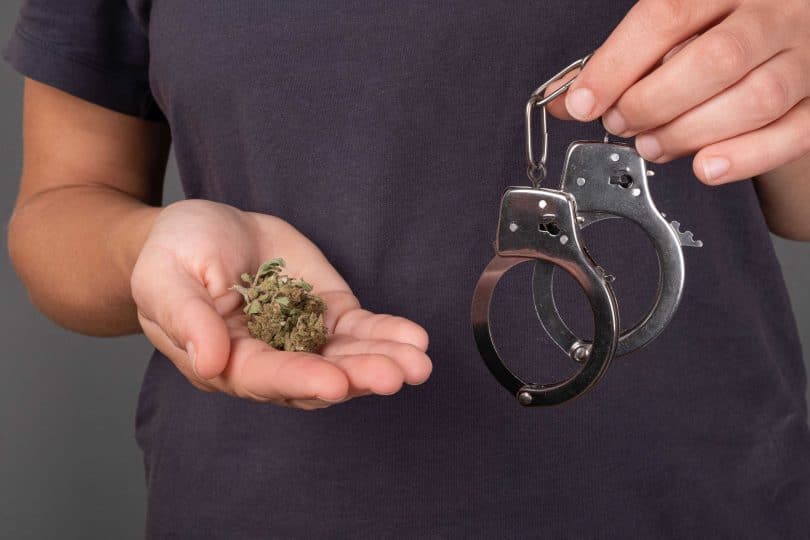 Arrests for marijuana crimes