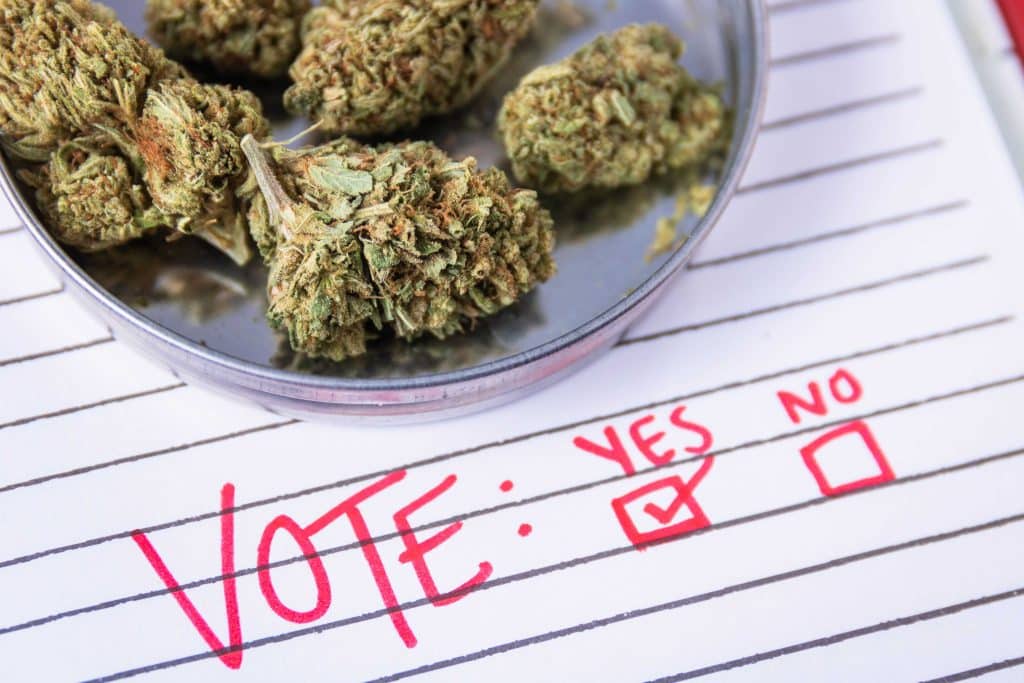Cannabis elections