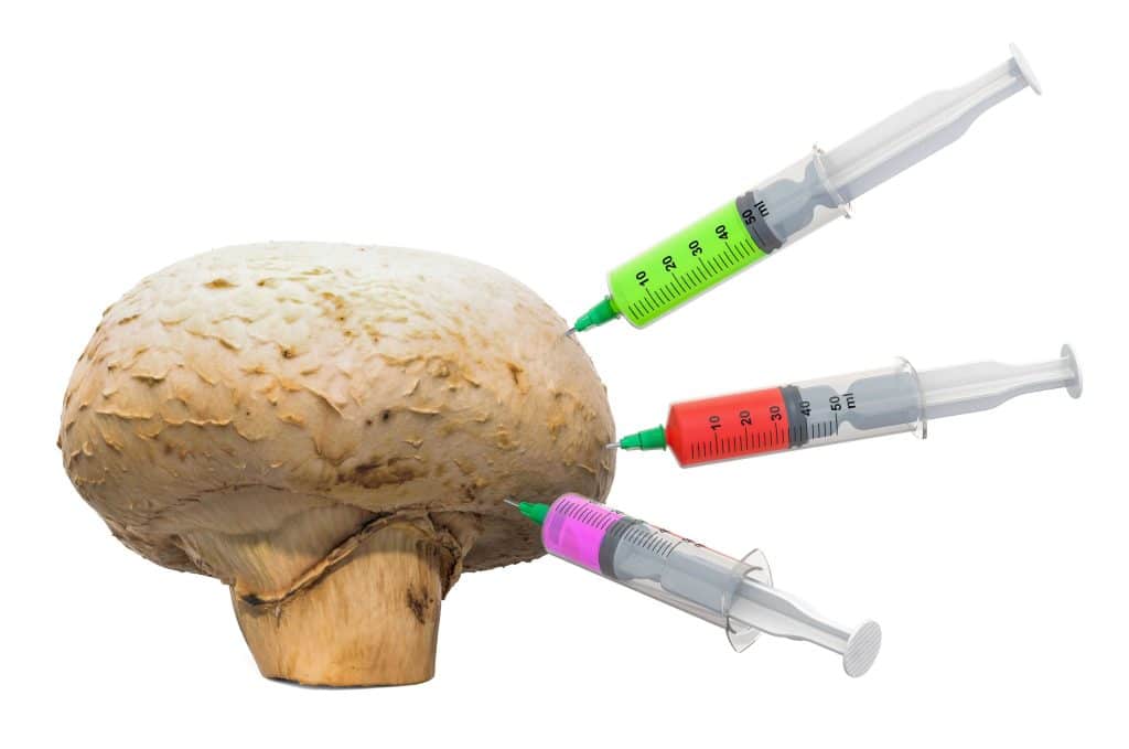 Why not to inject shrooms