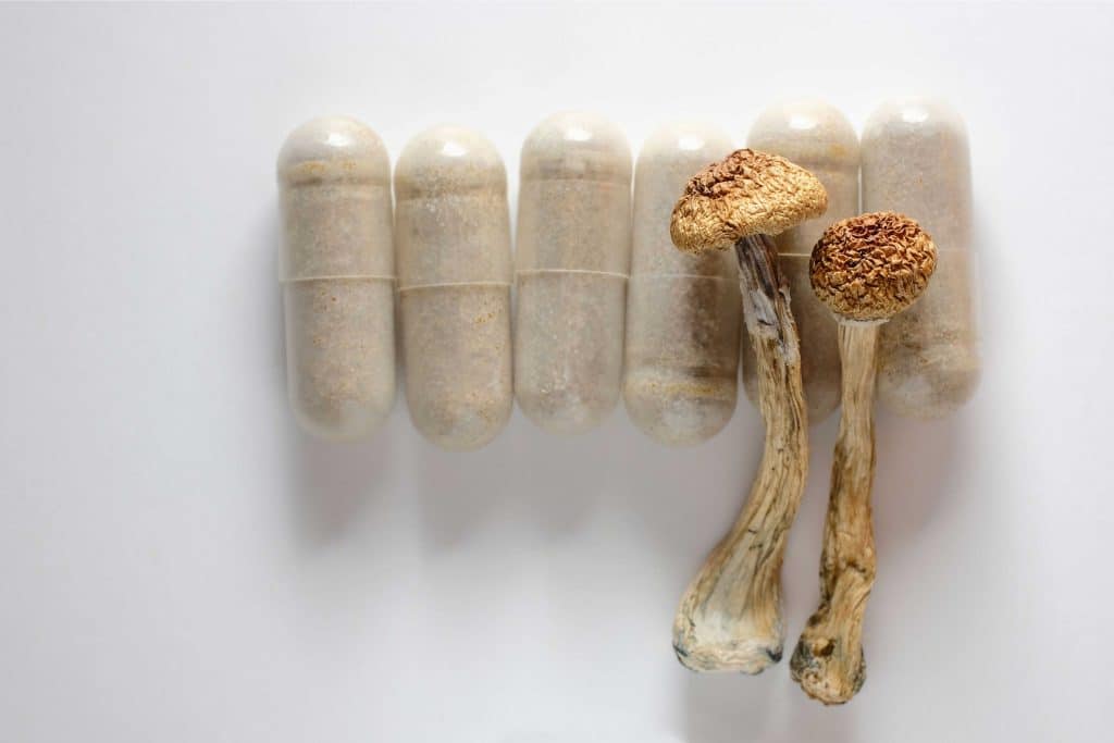 Magic mushroom loophole