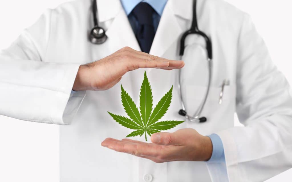 Medical professional holding a cannabis leaf