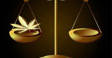 German court ruling